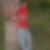 Profilbild von Pascal Jungen