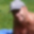 Profilbild von Peter Liebler