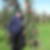 Profilbild von Karl-Heinz Sandrock