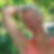 Profilbild von Katrin Wulff