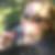 Profilbild von Imke Bahn