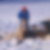 Profilbild von David Kaiser