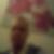 Profilbild von Benjamin Ondra