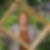 Profilbild von Barbara Weis