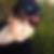 Profilbild von Anna-Michelle Caspar