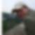 Profilbild von Ralf Selent