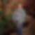 Profilbild von Anke Beste