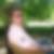 Profilbild von Christian Hilliges