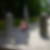 Profilbild von Theresia Stute