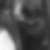 Profilbild von Alexander Geist