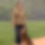 Profilbild von Dagmar Yaman