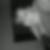 Profilbild von Nadine Wieck