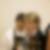 Profilbild von Beate Biehl