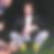 Profilbild von Eike Oechsle