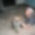 Profilbild von Detlef Forker