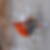Profilbild von Rene Kuhnt