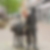 Profilbild von Marion Pein