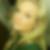 Profilbild von Vanessa Runz