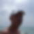 Profilbild von Roland Pump