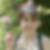 Profilbild von Nurgül Aksu