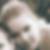 Profilbild von Isabell Lange
