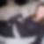 Profilbild von Claudia Dupper