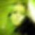 Profilbild von Jeanne Peach