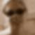 Profilbild von Andrea de Groot