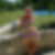 Profilbild von Brigitte Peterson