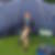 Profilbild von Marlies Schittig