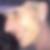 Profilbild von Thomas Wagner