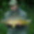Profilbild von Thomas Stenzel