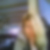 Profilbild von Elke Wurzenberger