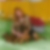 Profilbild von Astrid Reinhard