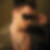 Profilbild von Karsten Meier