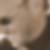 Profilbild von Ralf Zeiske