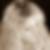 Profilbild von Birte Reese