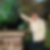 Profilbild von Roswitha Weingart