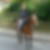 Profilbild von Stephanie Daph