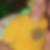 Profilbild von Andreas Junk