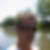 Profilbild von Rupert Hoeppe