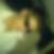 Profilbild von Fabian Schmidt