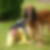 Profilbild von Bärbel Ueckert