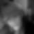 Profilbild von Caroline Lecher
