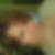 Profilbild von Jeannine Starke