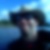 Profilbild von Dirk Werderich