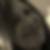 Profilbild von Irene Prochnow