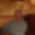 Profilbild von Hans Joachim Esser