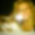 Profilbild von Claudia Glock