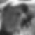 Profilbild von Macel Wagner